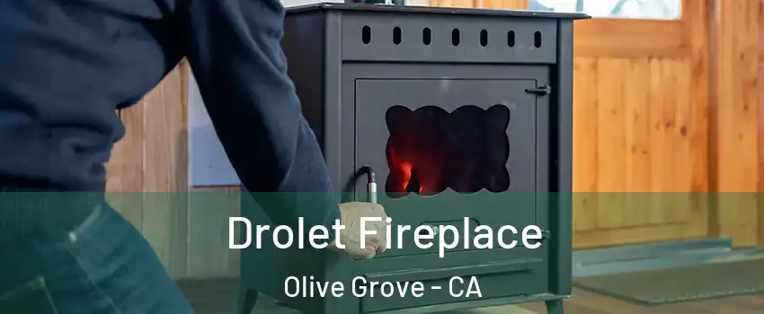 Drolet Fireplace Olive Grove - CA