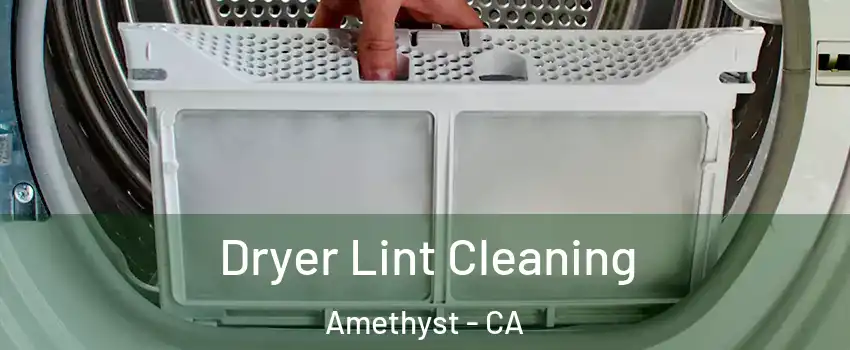 Dryer Lint Cleaning Amethyst - CA