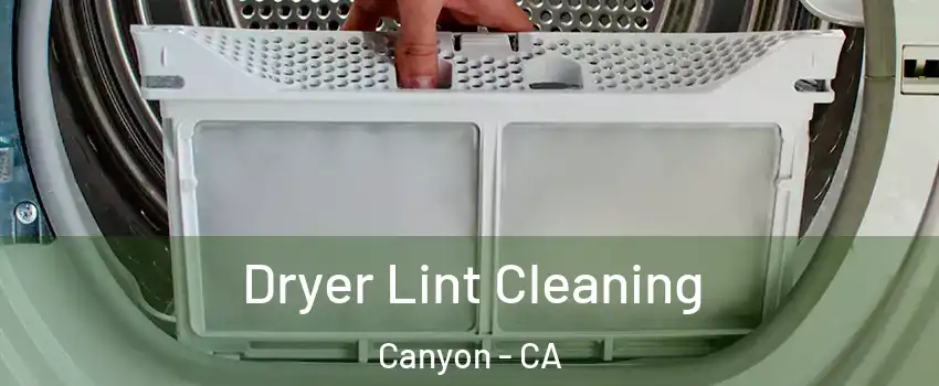 Dryer Lint Cleaning Canyon - CA