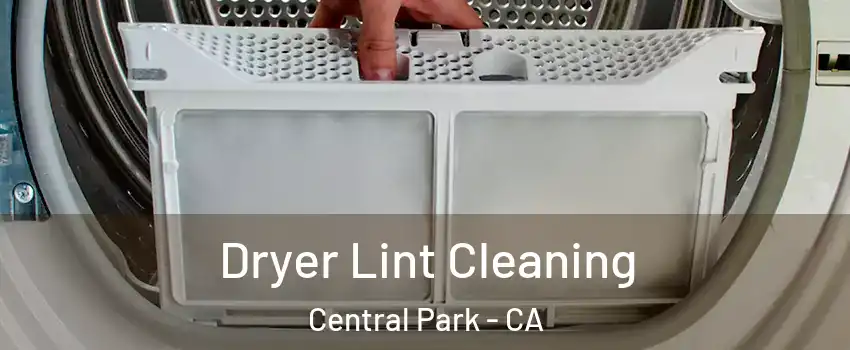 Dryer Lint Cleaning Central Park - CA