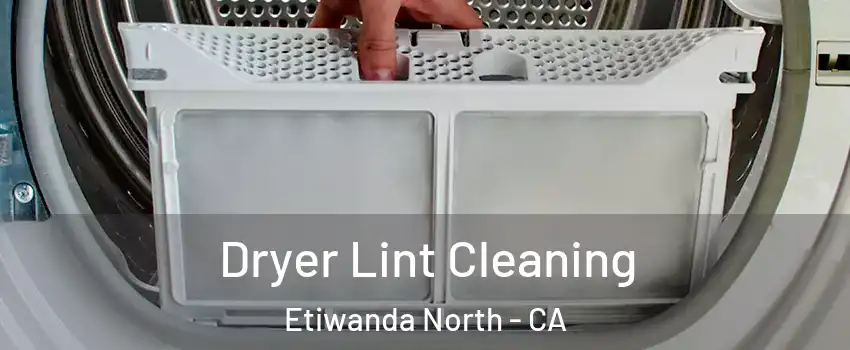 Dryer Lint Cleaning Etiwanda North - CA