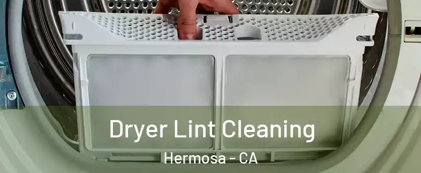 Dryer Lint Cleaning Hermosa - CA