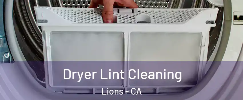 Dryer Lint Cleaning Lions - CA