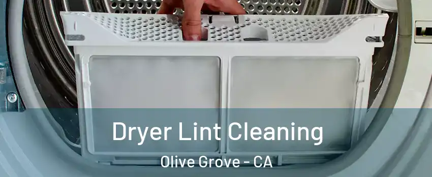 Dryer Lint Cleaning Olive Grove - CA