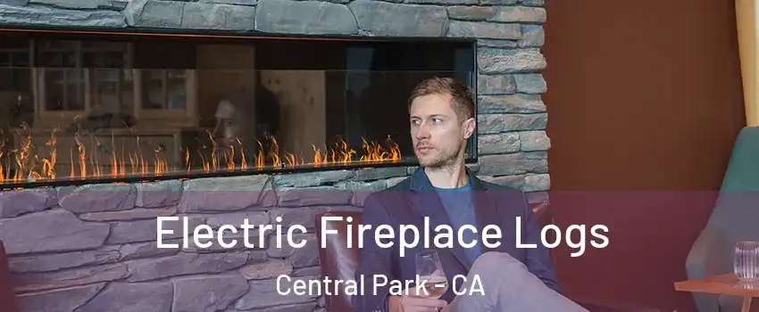 Electric Fireplace Logs Central Park - CA