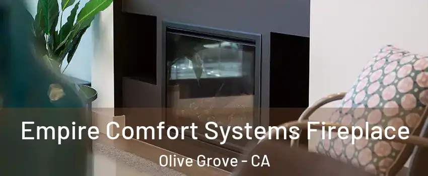 Empire Comfort Systems Fireplace Olive Grove - CA