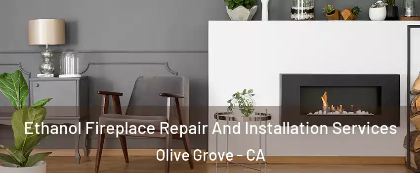Ethanol Fireplace Repair And Installation Services Olive Grove - CA