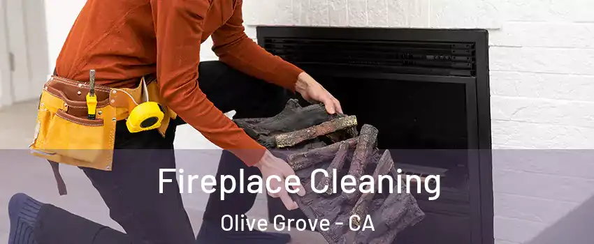 Fireplace Cleaning Olive Grove - CA