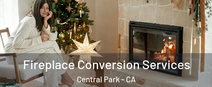 Fireplace Conversion Services Central Park - CA