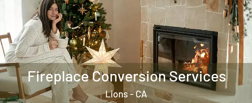 Fireplace Conversion Services Lions - CA