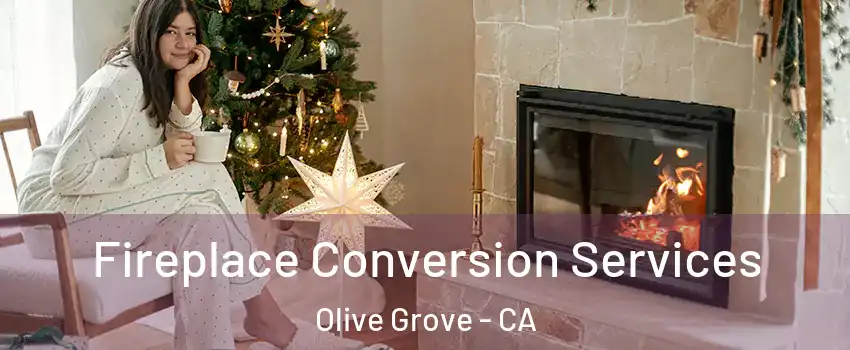 Fireplace Conversion Services Olive Grove - CA