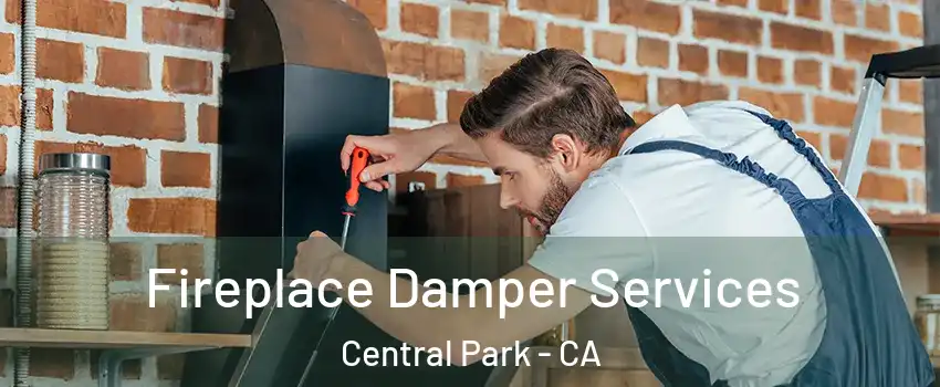Fireplace Damper Services Central Park - CA