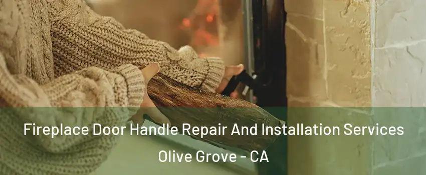 Fireplace Door Handle Repair And Installation Services Olive Grove - CA