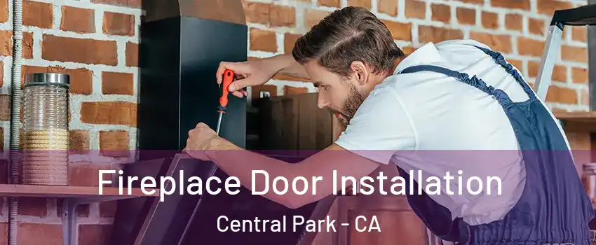 Fireplace Door Installation Central Park - CA