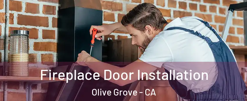 Fireplace Door Installation Olive Grove - CA