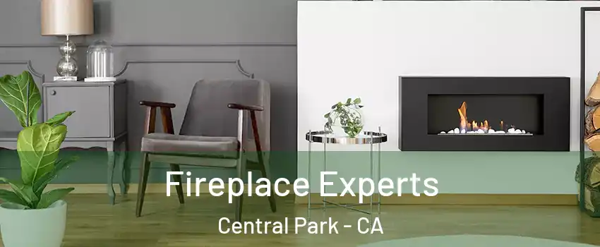 Fireplace Experts Central Park - CA
