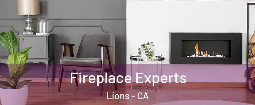 Fireplace Experts Lions - CA