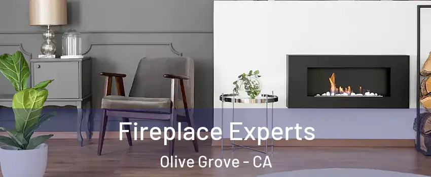 Fireplace Experts Olive Grove - CA