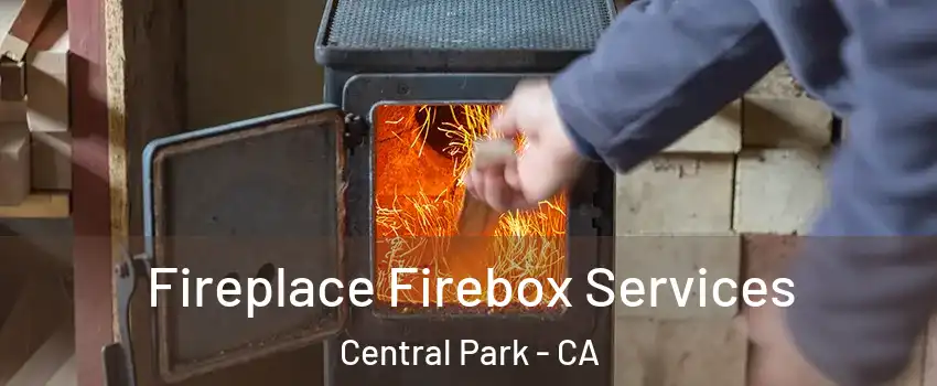 Fireplace Firebox Services Central Park - CA