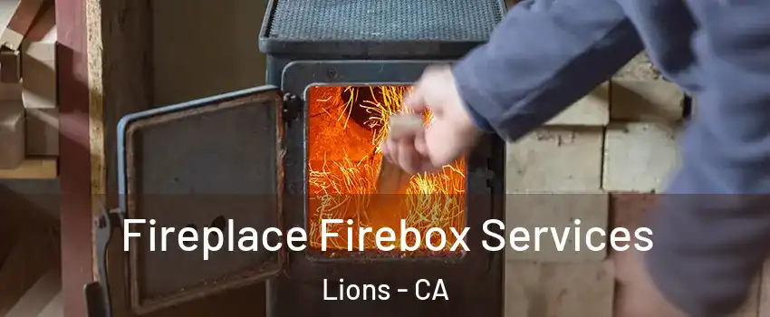 Fireplace Firebox Services Lions - CA