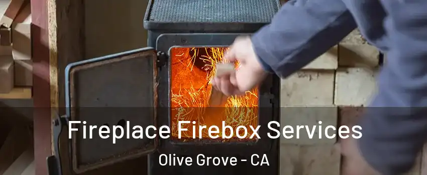 Fireplace Firebox Services Olive Grove - CA