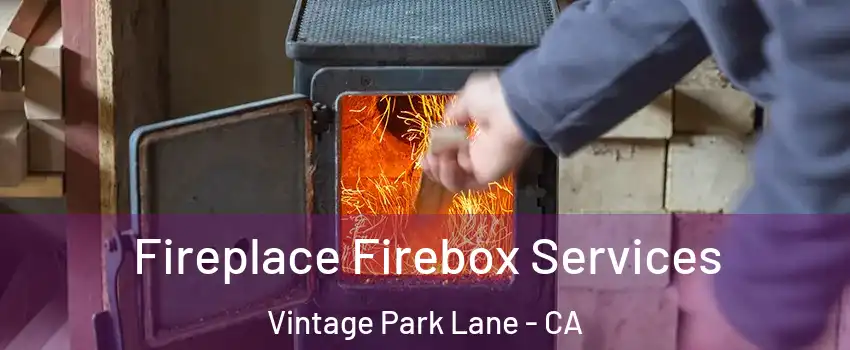 Fireplace Firebox Services Vintage Park Lane - CA