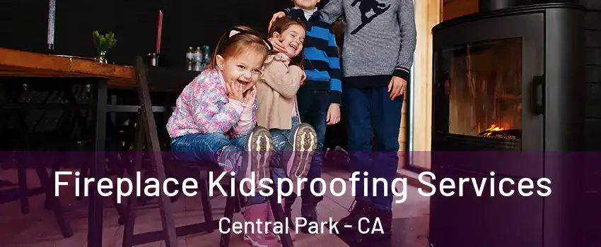 Fireplace Kidsproofing Services Central Park - CA