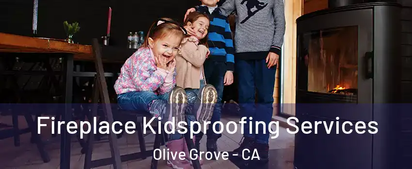 Fireplace Kidsproofing Services Olive Grove - CA