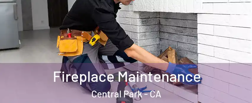 Fireplace Maintenance Central Park - CA