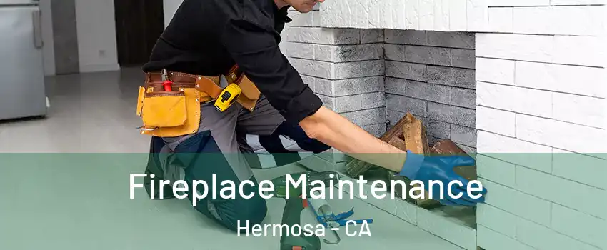 Fireplace Maintenance Hermosa - CA