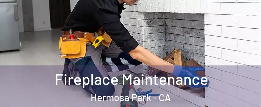 Fireplace Maintenance Hermosa Park - CA