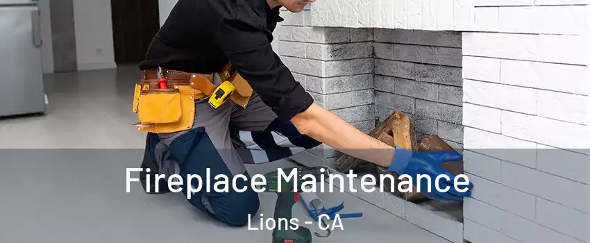 Fireplace Maintenance Lions - CA