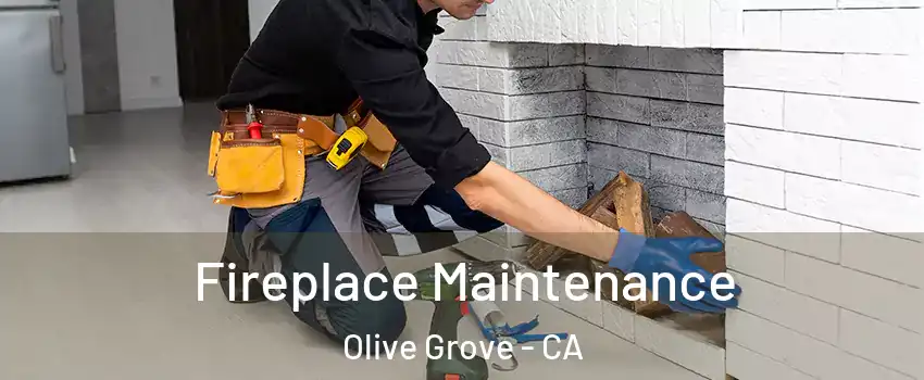 Fireplace Maintenance Olive Grove - CA