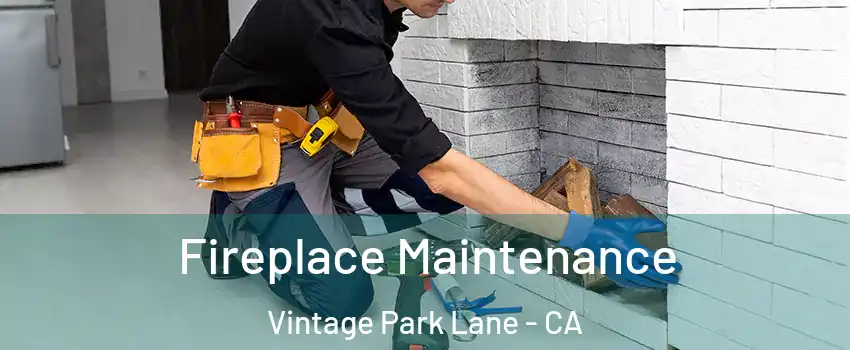 Fireplace Maintenance Vintage Park Lane - CA