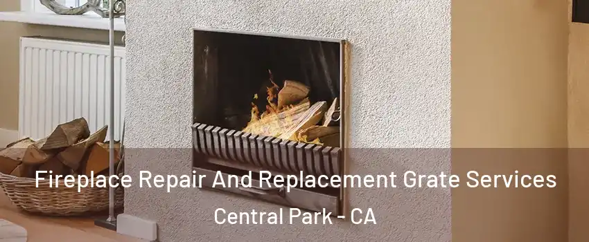 Fireplace Repair And Replacement Grate Services Central Park - CA