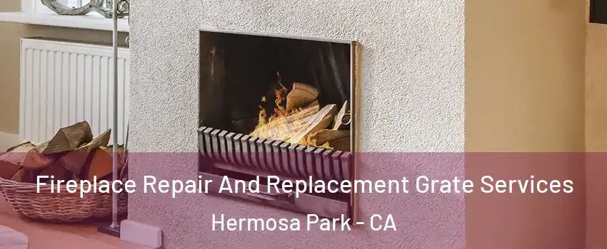 Fireplace Repair And Replacement Grate Services Hermosa Park - CA
