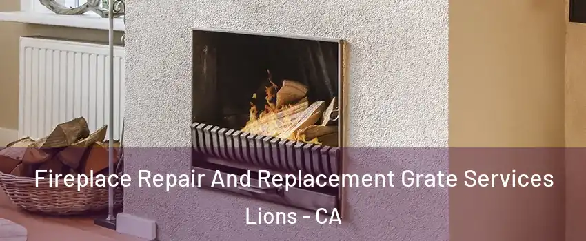 Fireplace Repair And Replacement Grate Services Lions - CA