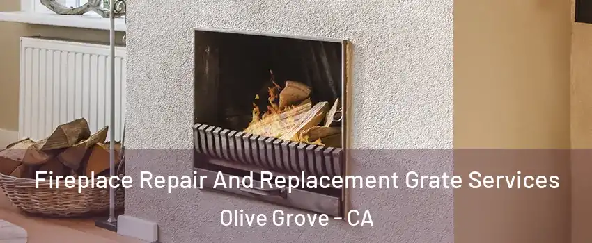 Fireplace Repair And Replacement Grate Services Olive Grove - CA