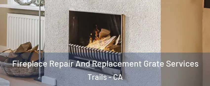 Fireplace Repair And Replacement Grate Services Trails - CA