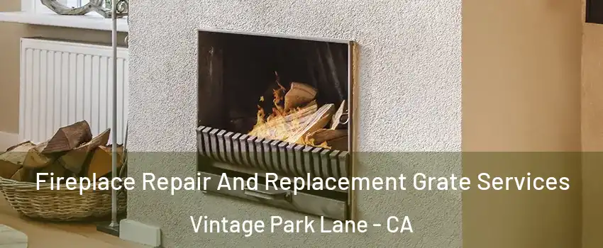 Fireplace Repair And Replacement Grate Services Vintage Park Lane - CA