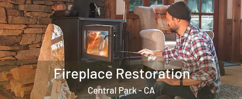 Fireplace Restoration Central Park - CA