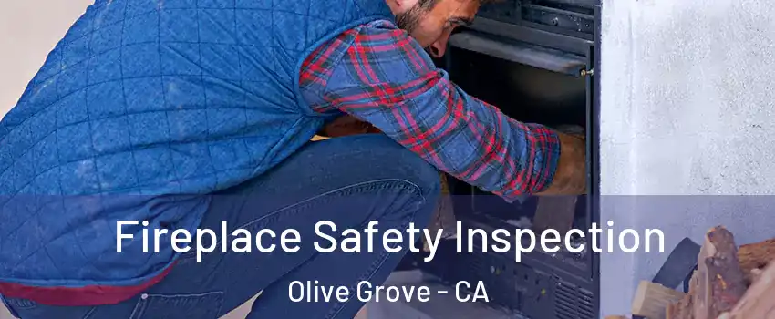 Fireplace Safety Inspection Olive Grove - CA