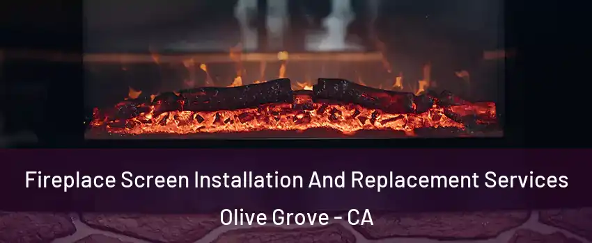 Fireplace Screen Installation And Replacement Services Olive Grove - CA