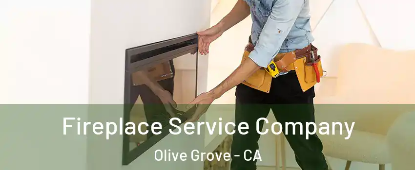 Fireplace Service Company Olive Grove - CA