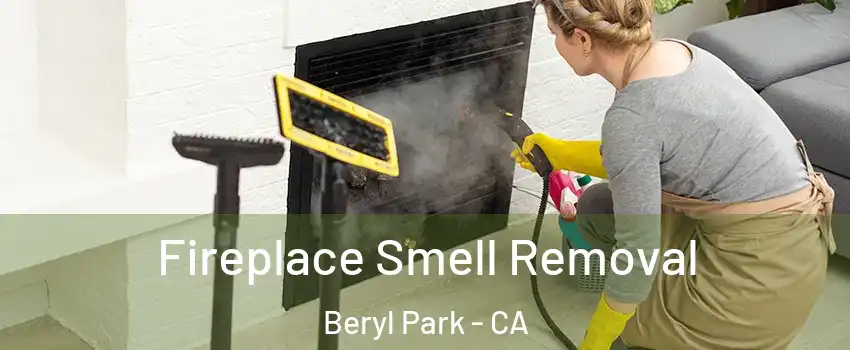 Fireplace Smell Removal Beryl Park - CA