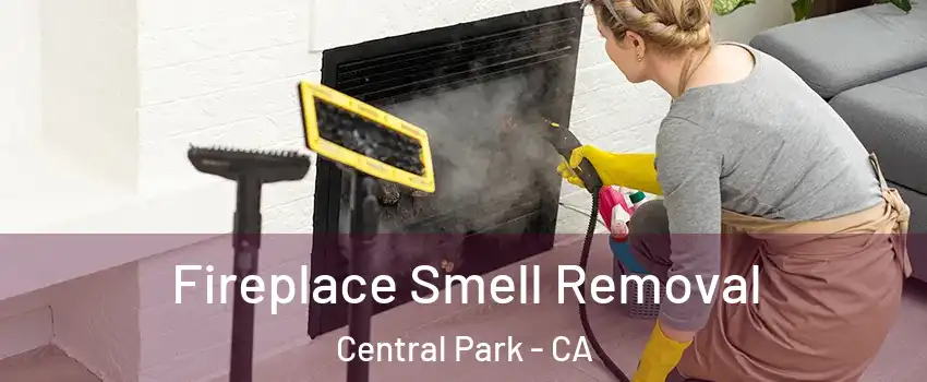 Fireplace Smell Removal Central Park - CA