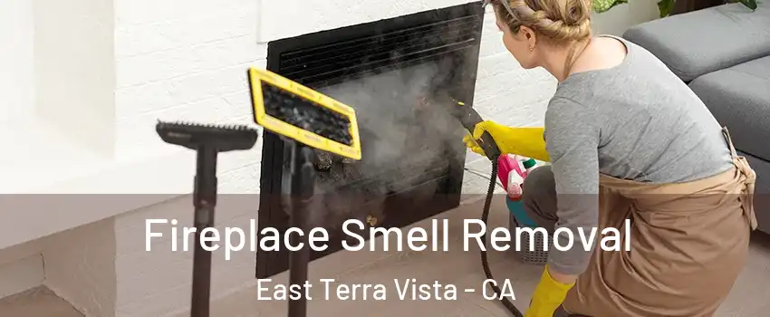 Fireplace Smell Removal East Terra Vista - CA