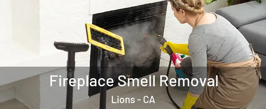 Fireplace Smell Removal Lions - CA