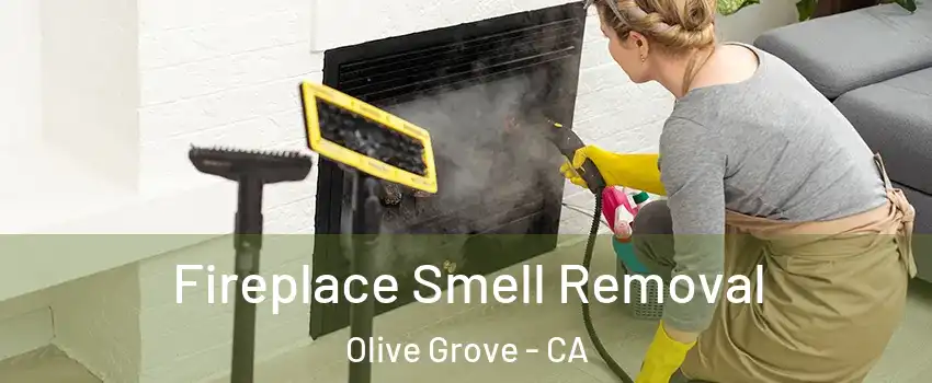 Fireplace Smell Removal Olive Grove - CA
