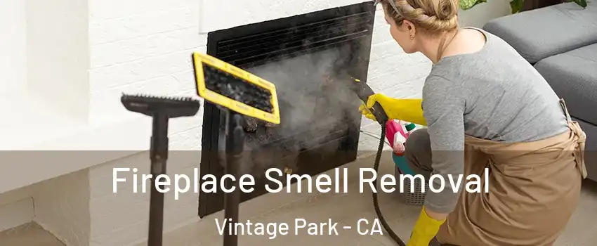 Fireplace Smell Removal Vintage Park - CA